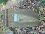 image of grave number 353242
